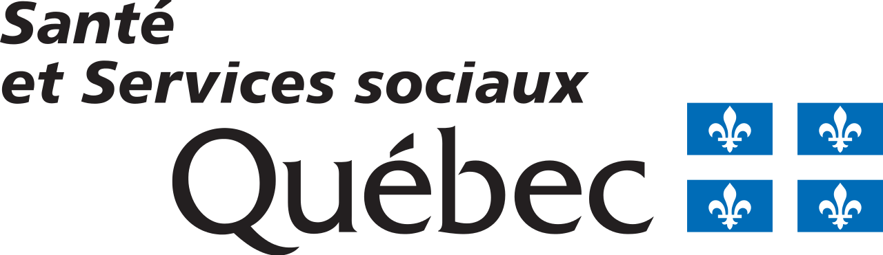 Logo-Sante Et Services Sociaux